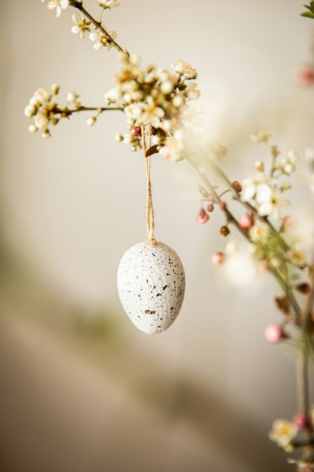 fiore bianco in lente tilt shift