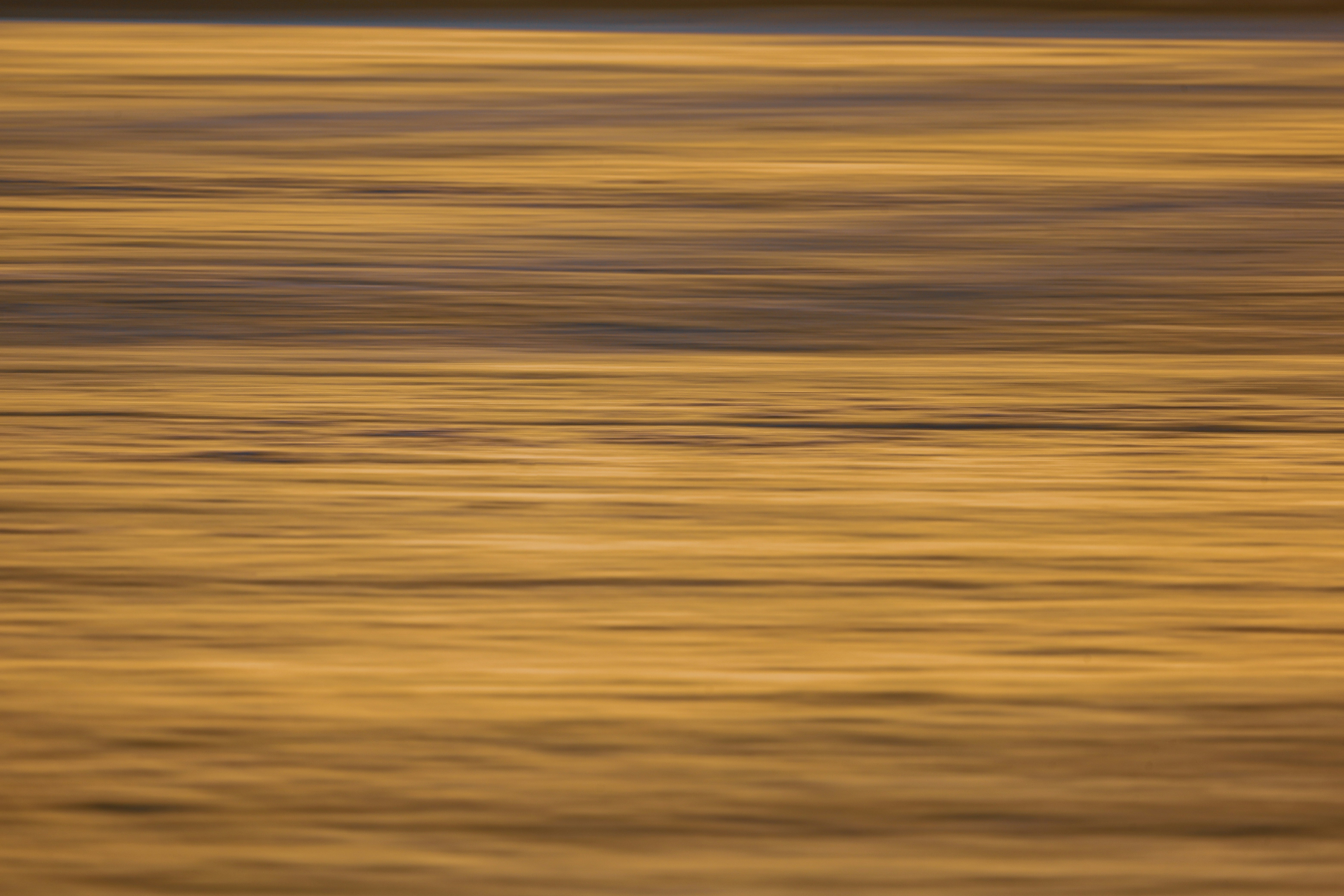 Photo by grievek1610begur