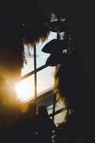 silhouette of couple under tree during sunset