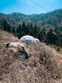 Wide shot of eco-friendly domes blending harmoniously with the natural landscape