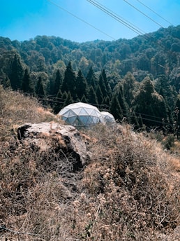 A scenic landscape with lush green hills and evergreen trees under a bright blue sky. In the foreground, geodesic domes sit amidst dry grass and a large boulder. Overhead, power lines stretch across the scene.