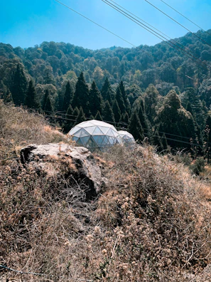 Wide shot of eco-friendly domes blending harmoniously with the natural landscape