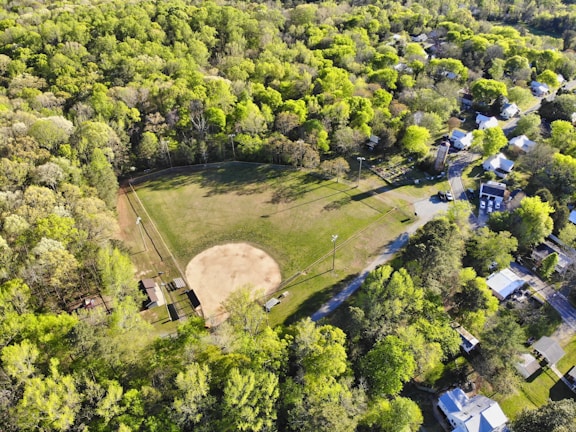 aerial view of green trees and green grass field during daytime