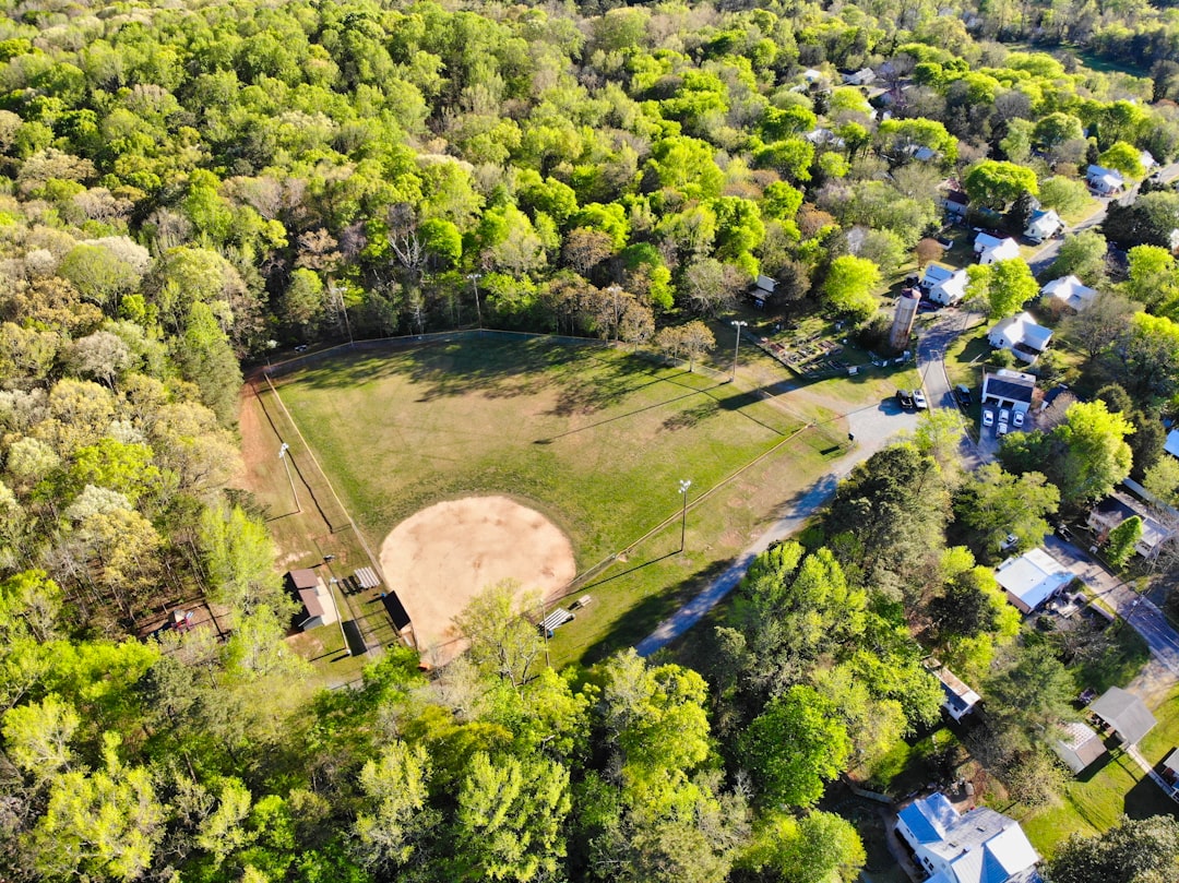 aerial view of green trees and green grass field during daytime