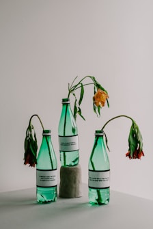 Three green plastic bottles are arranged on a white surface, each containing wilted flowers. The bottles have white labels with black text, highlighting environmental messages about plastic pollution. The setup is minimalistic, with a muted background.