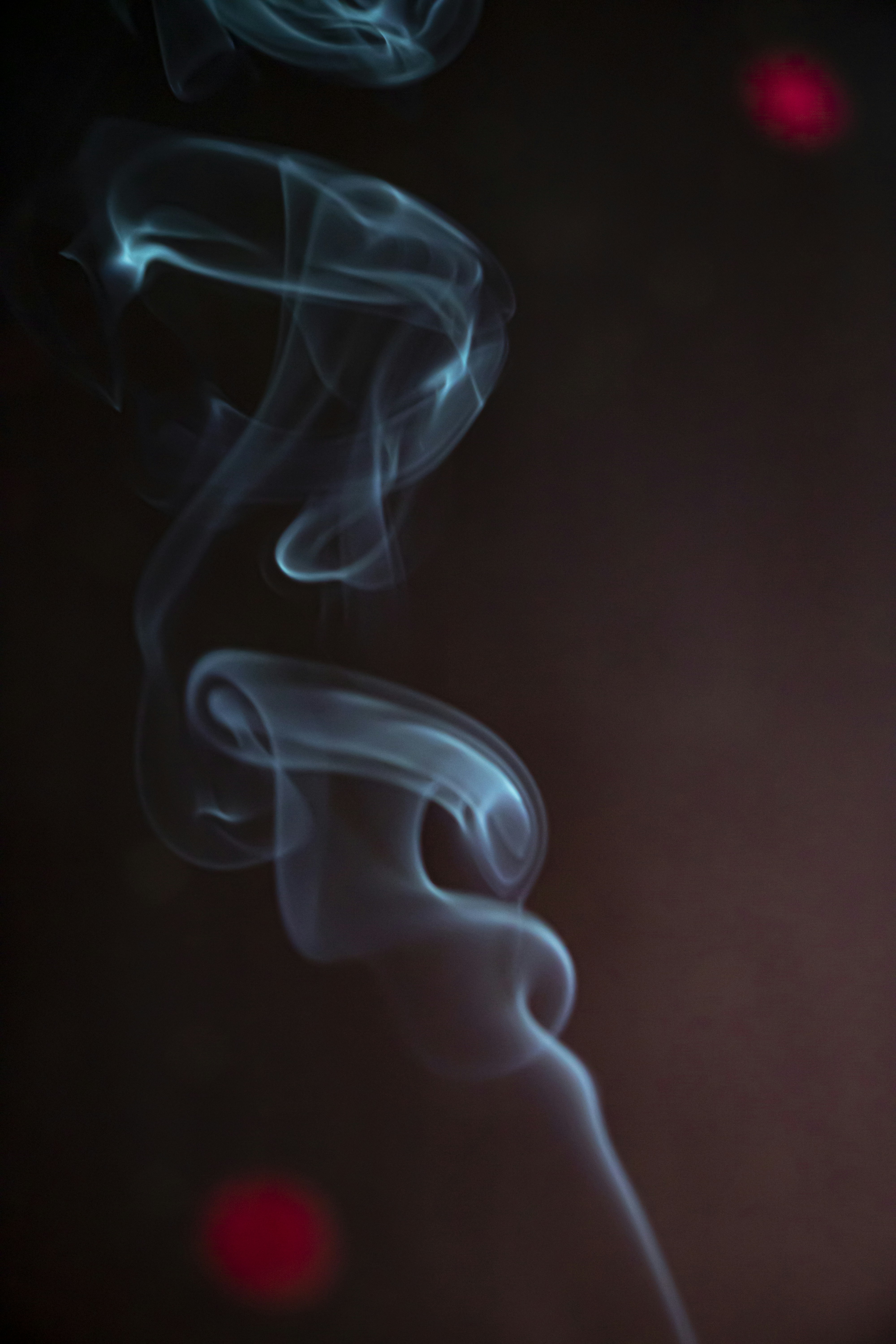 Photo by ahmadreza7shot