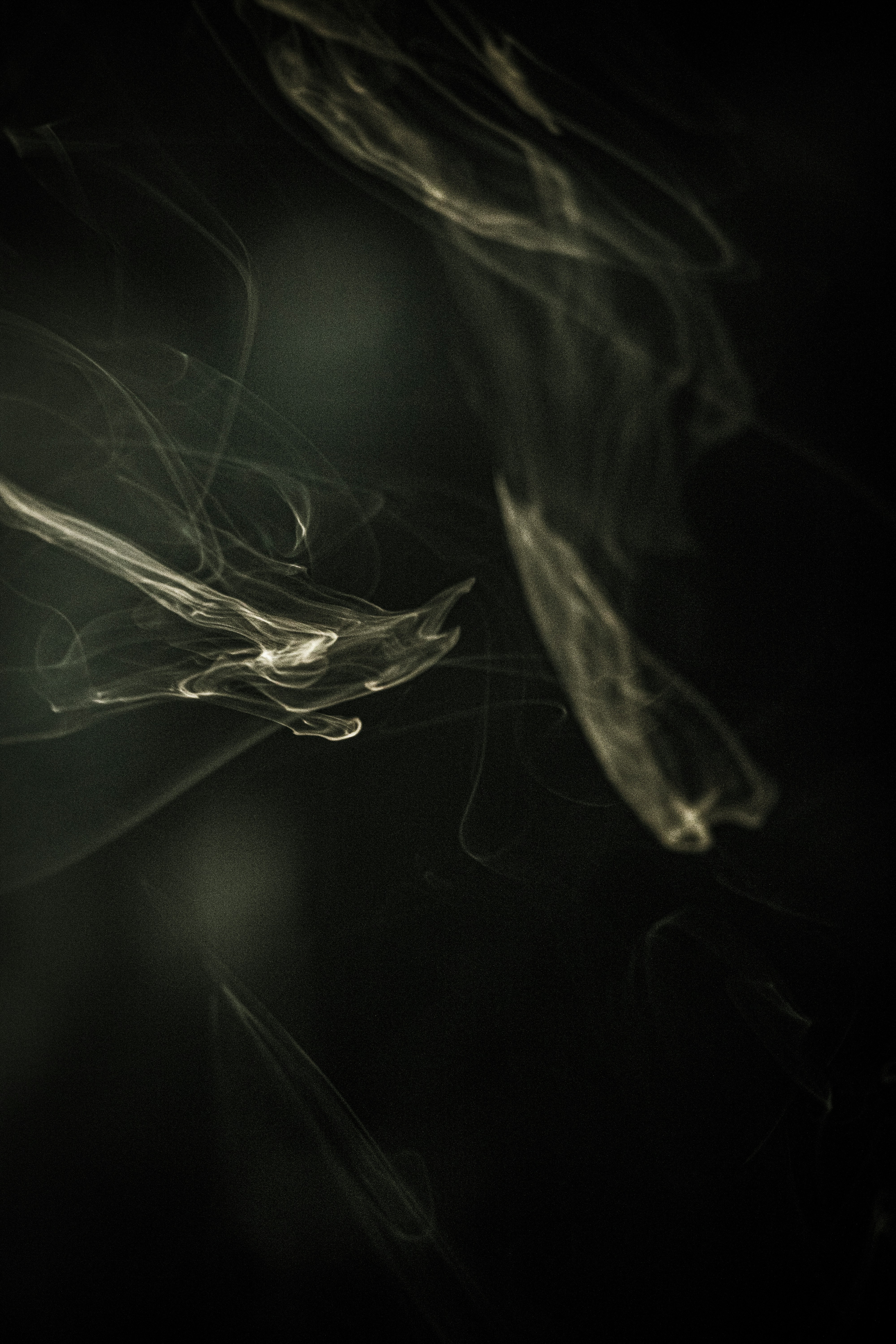 Photo by ahmadreza7shot