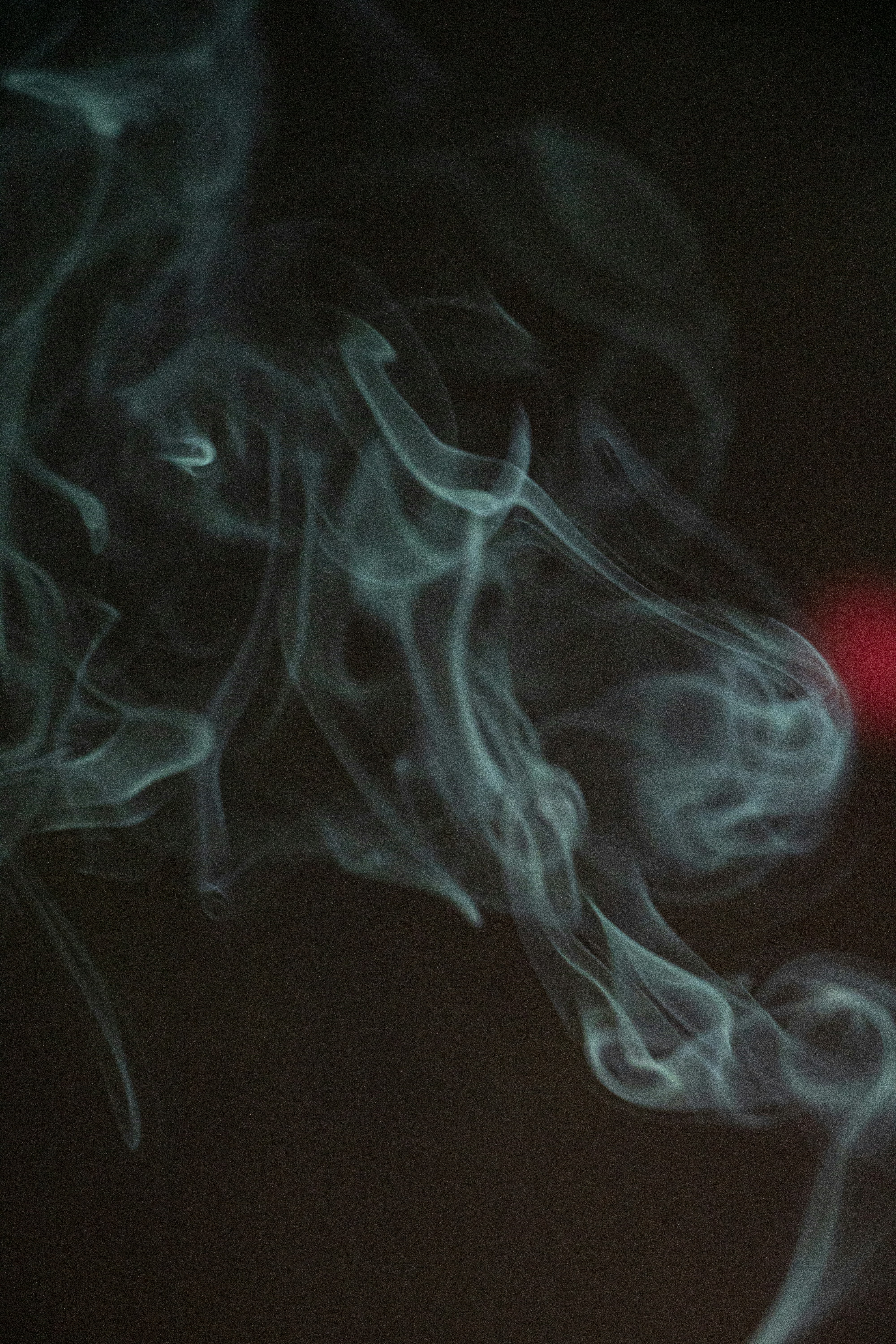 Photo by ahmadreza7shot