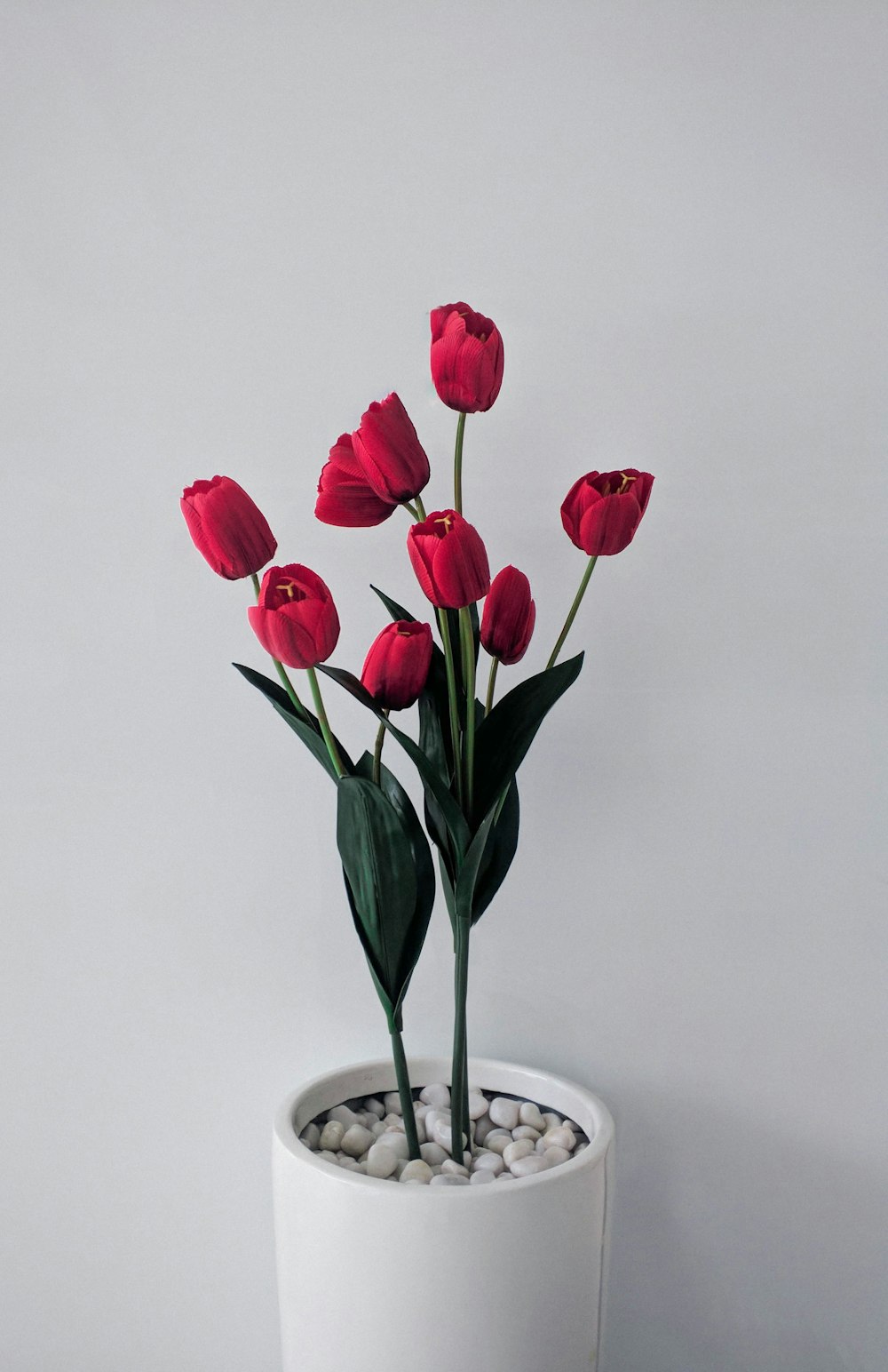 tulipanes rojos en jarrón de cerámica blanca