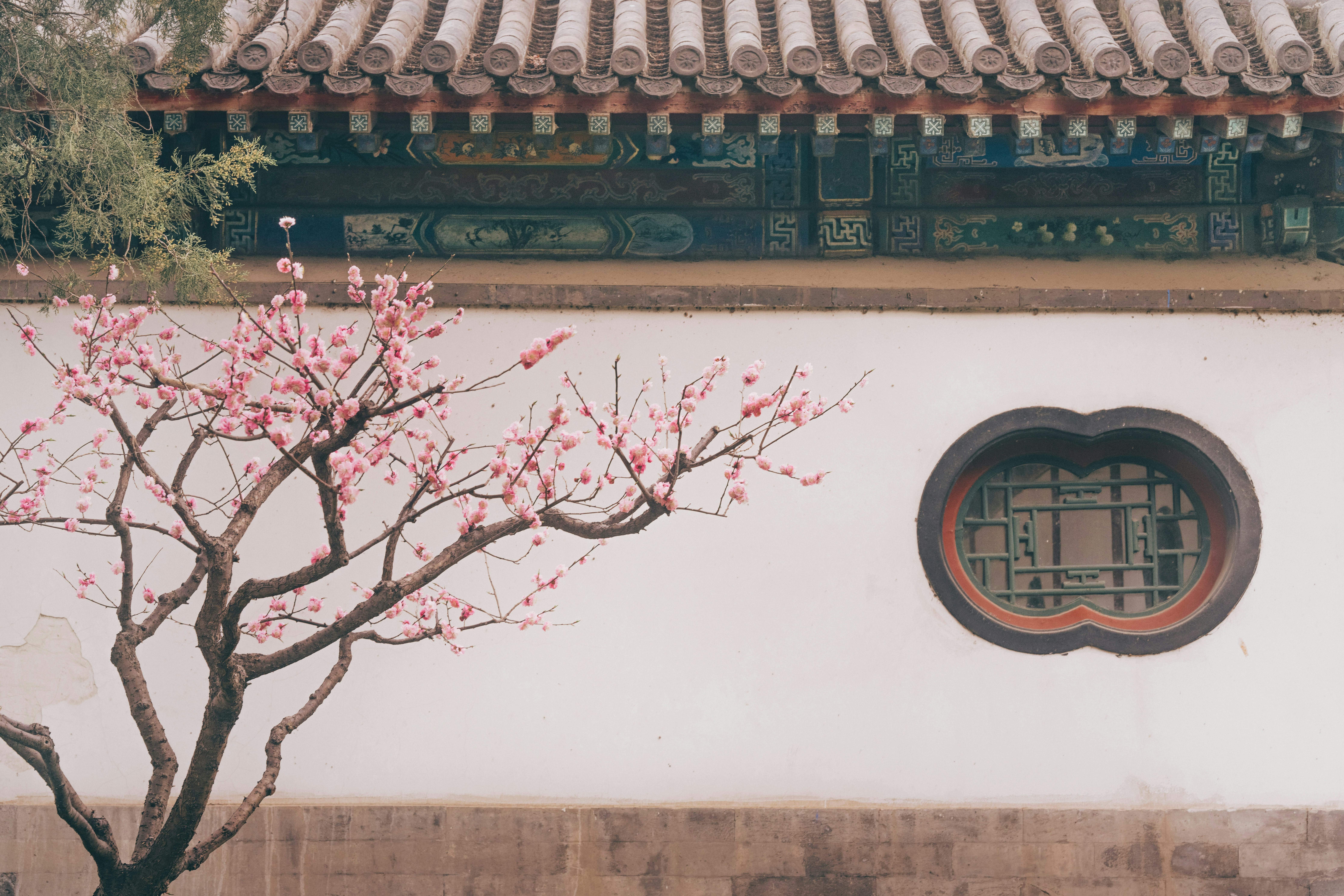 寻常一样窗前月，才有梅花便不同