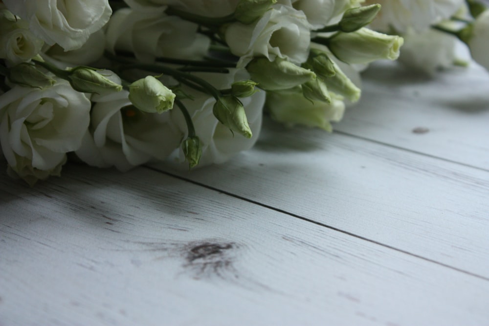 하얀 나무 테이블에 흰 장미