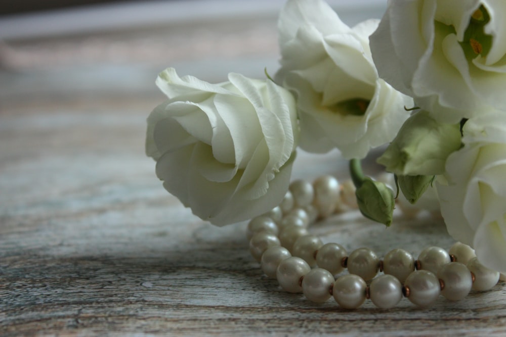 white rose on brown wooden table