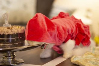 Joyful puppy waiting eagerly by a plate of dog-friendly cake
