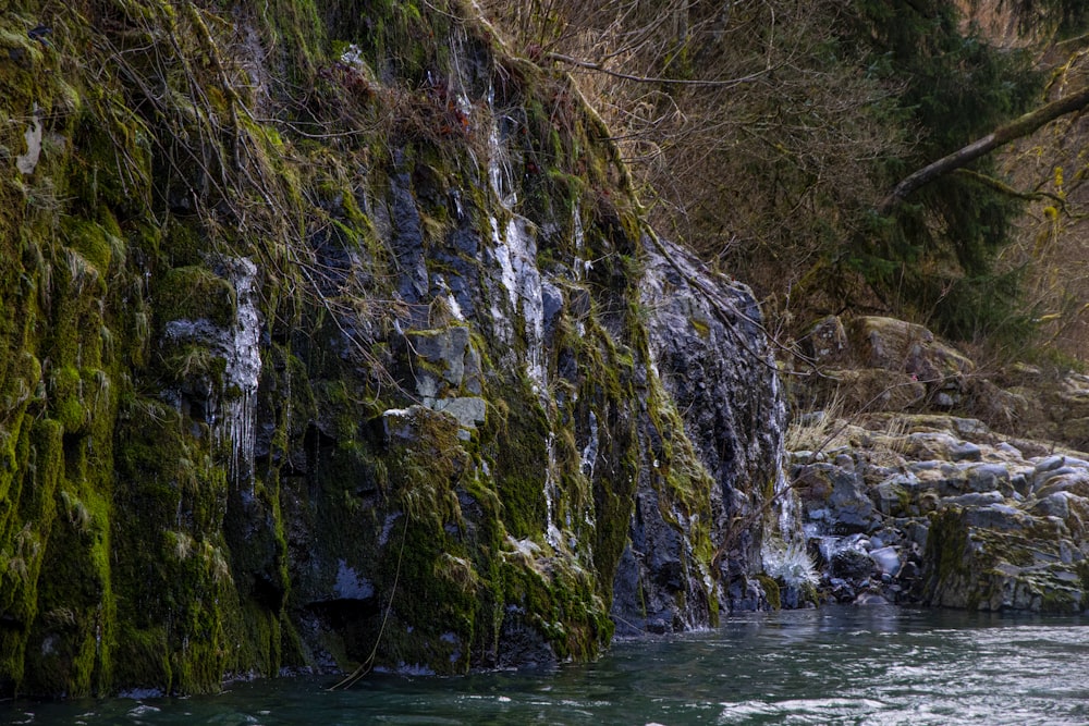 brown and green rock formation beside body of water during daytime