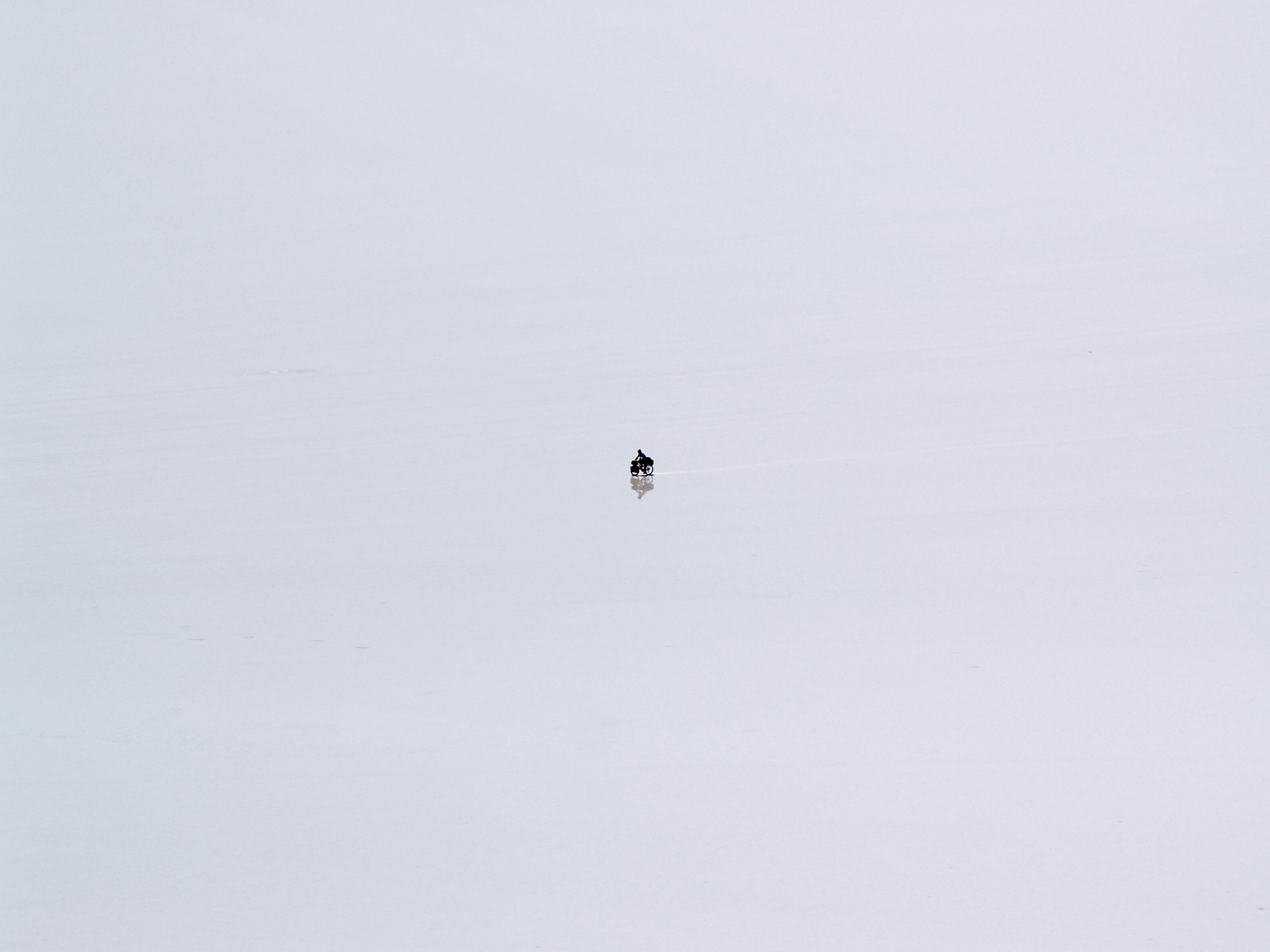 Photo by peterburdon