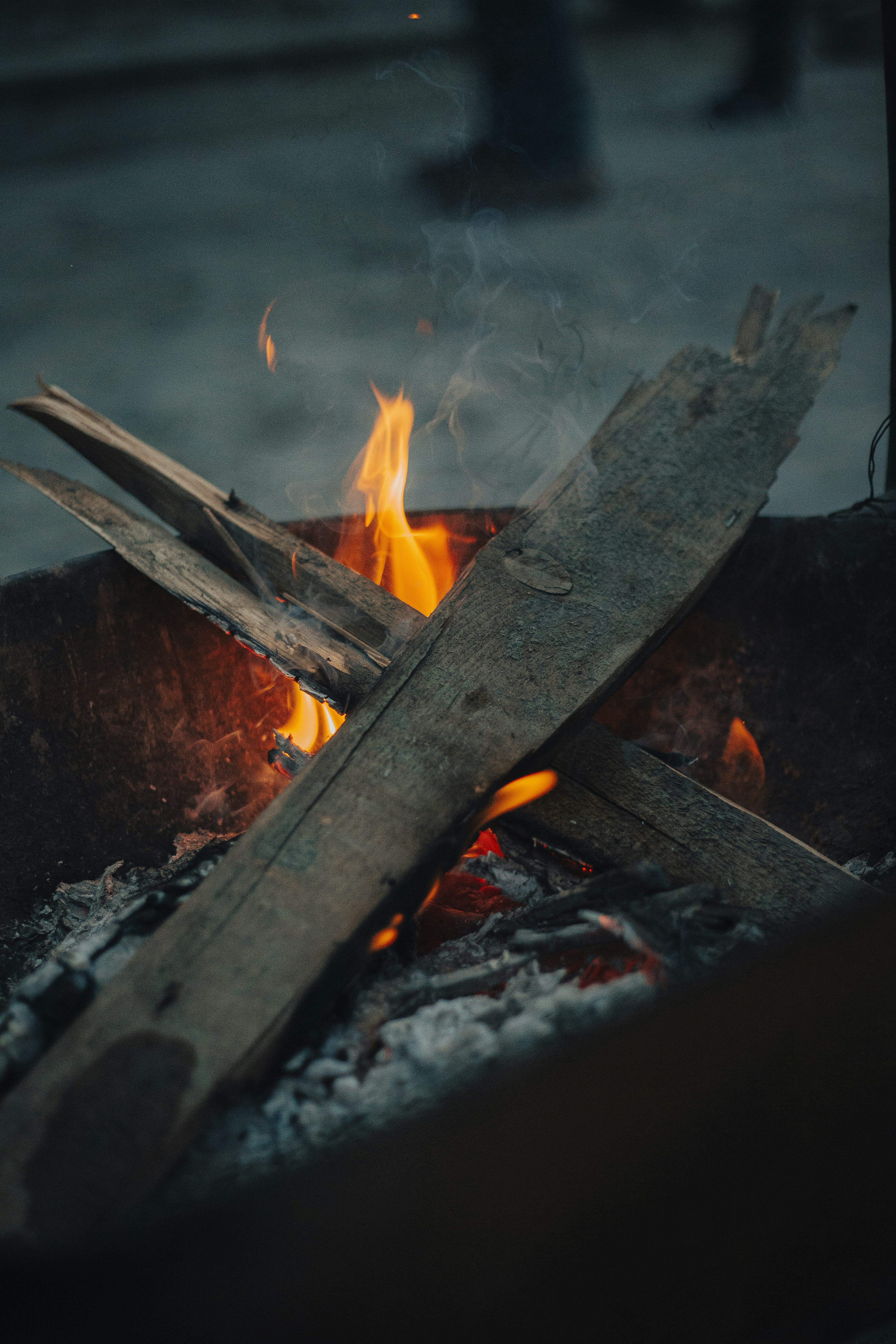 Photo by aliclicks306