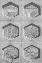 Concrete blocks with hexagonal cutouts arranged in a grid, allowing a view of sparse vegetation in the background.