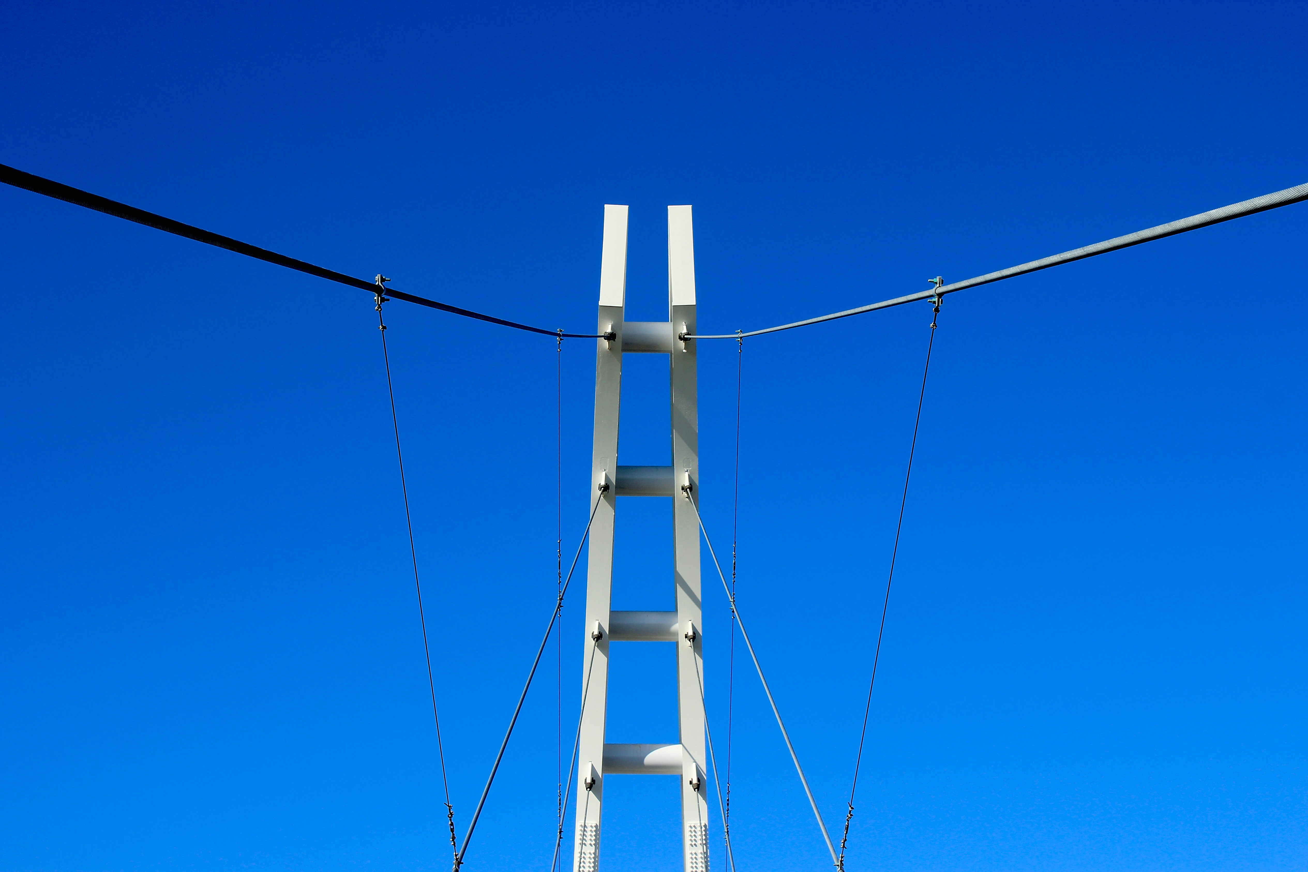 white bridge under blue sky during daytime