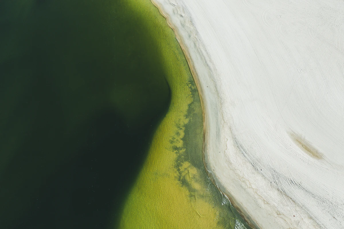 Estuary