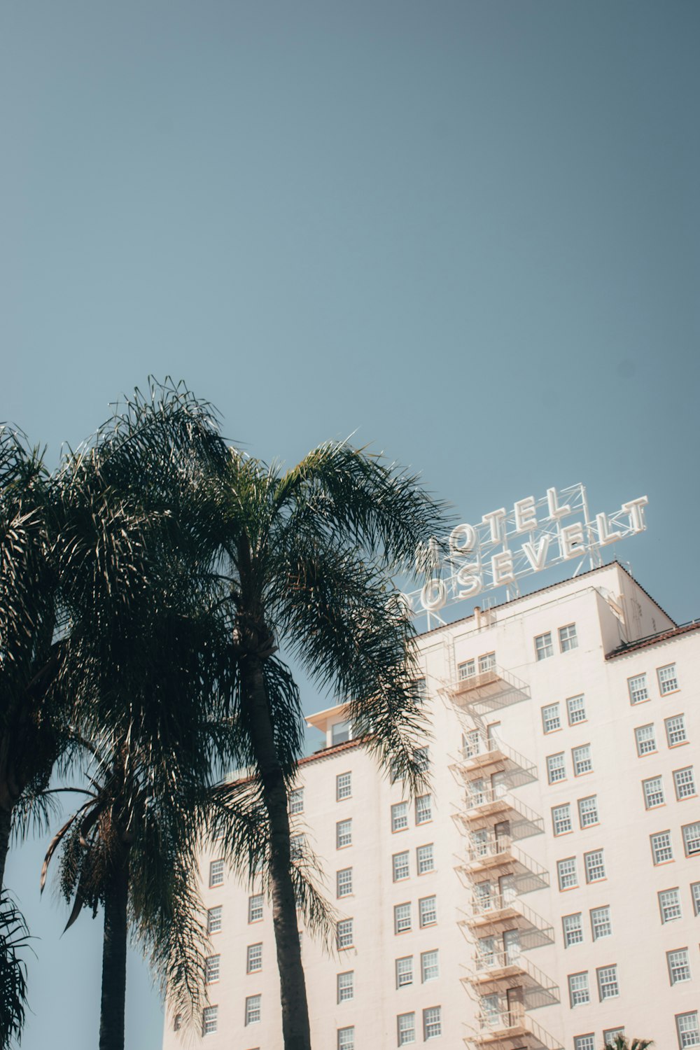 green palm tree near white concrete building during daytime