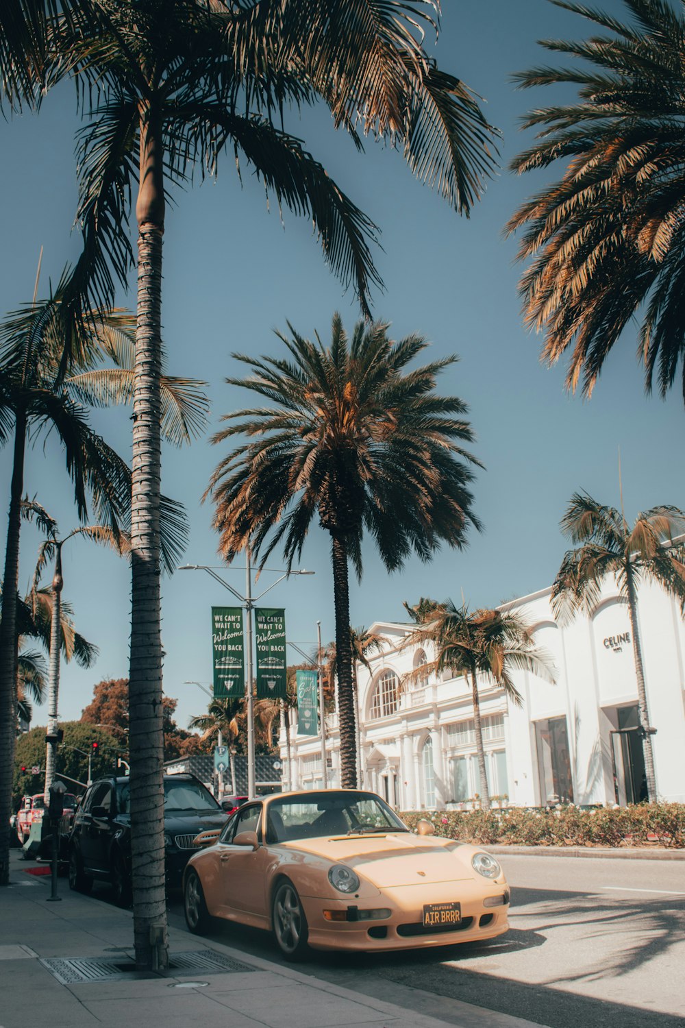 black car parked near palm trees during daytime