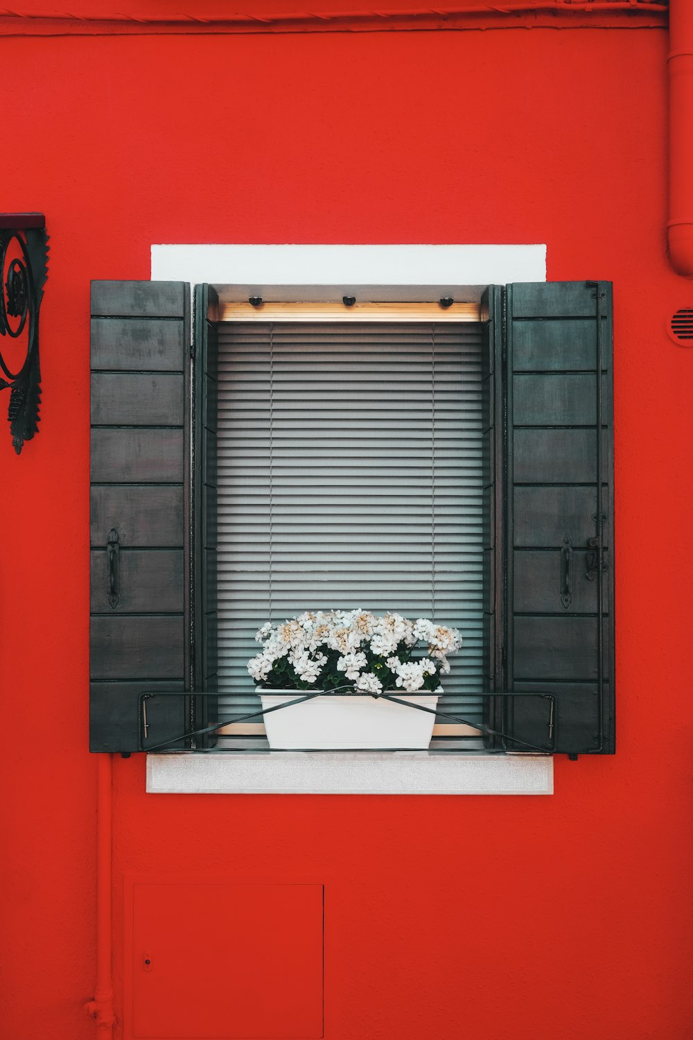 白と赤の花が咲く黒い木製の窓枠