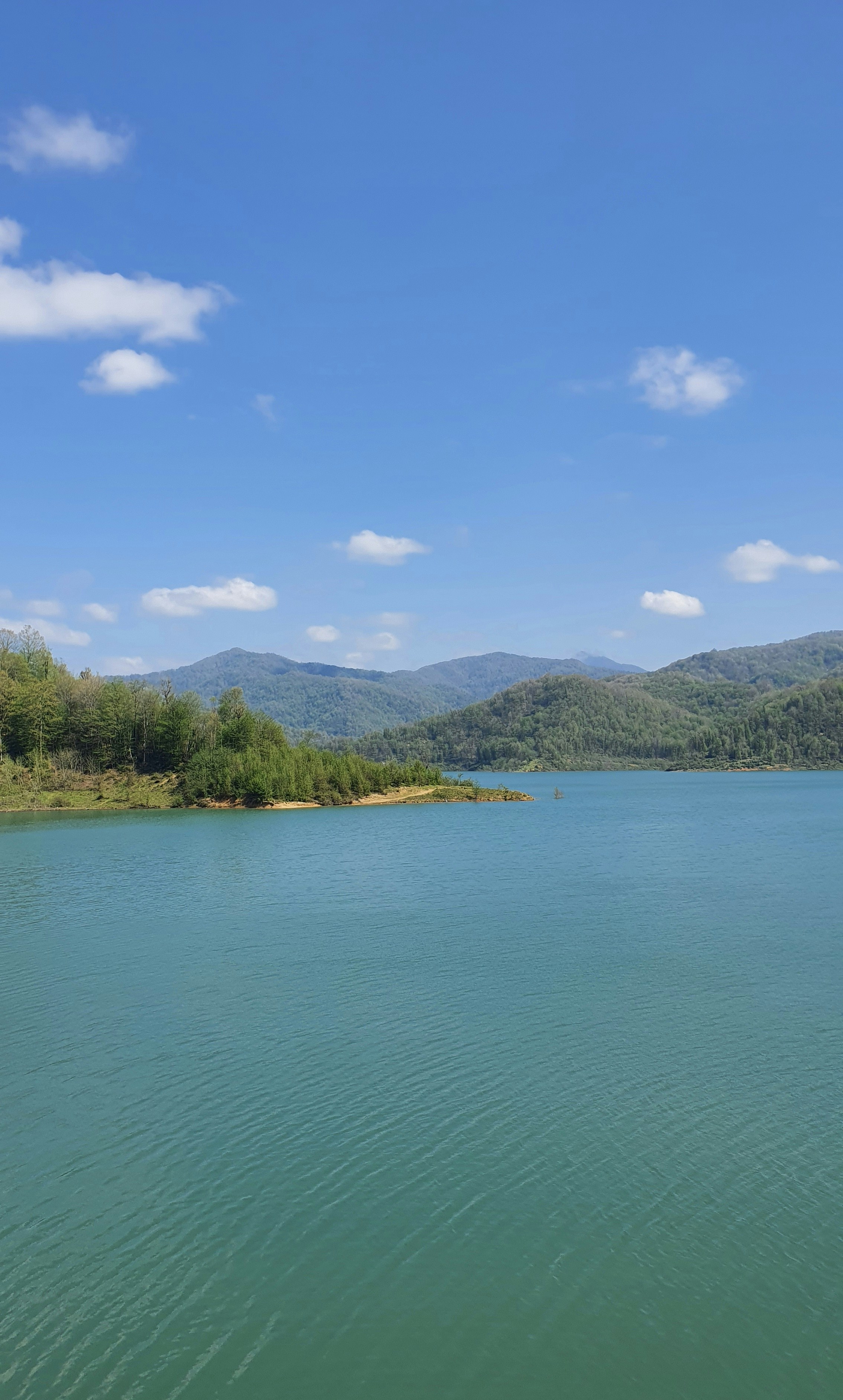 Photo by fatemehalizadeh_