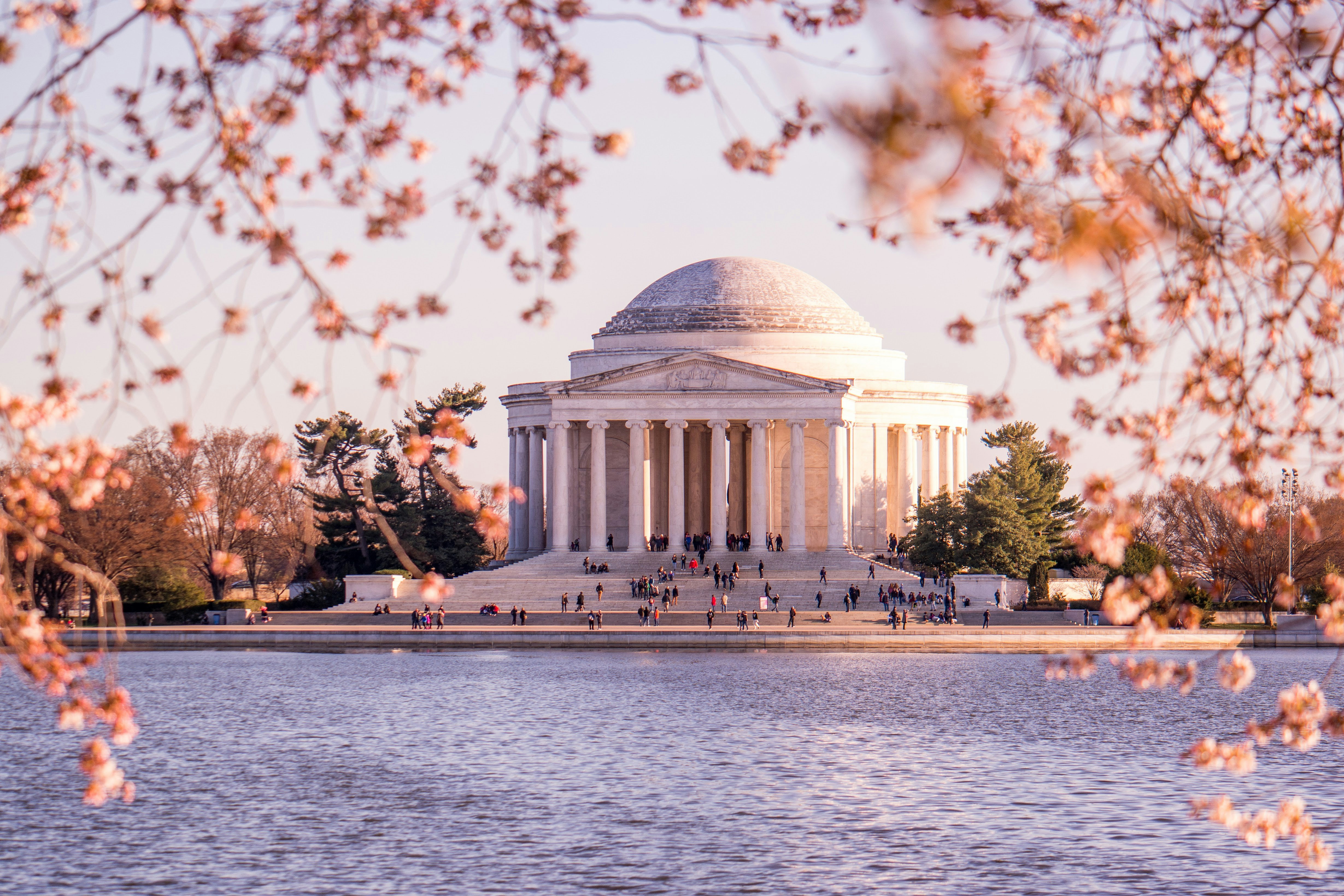 Tidal Basin view of cherry blossoms