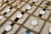 A collection of boxed wristwatches neatly arranged in rows, each featuring a minimalist design with a variety of strap colors. The watches have round faces with simple markers and are encased in what appears to be gold or golden metal, adding a touch of elegance.