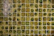 A grid of small, square, ceramic tiles featuring a textured surface. The tiles display a variety of earthy tones, including shades of green, brown, and yellow, with occasional glossy highlights from reflections.