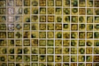 A grid of small, square, ceramic tiles featuring a textured surface. The tiles display a variety of earthy tones, including shades of green, brown, and yellow, with occasional glossy highlights from reflections.