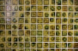 A grid of small, square, ceramic tiles featuring a textured surface. The tiles display a variety of earthy tones, including shades of green, brown, and yellow, with occasional glossy highlights from reflections.