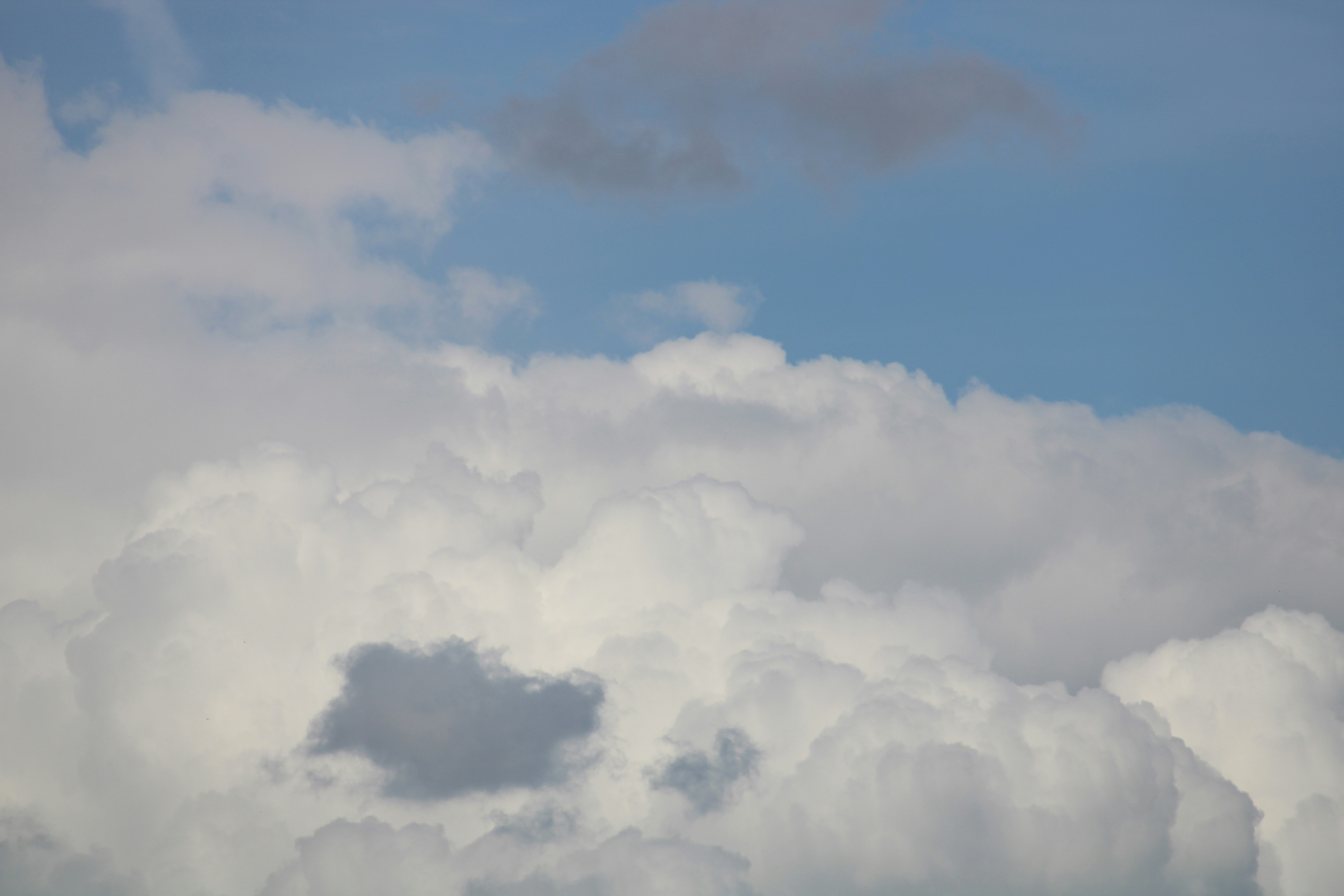 Photo by every_small_step_