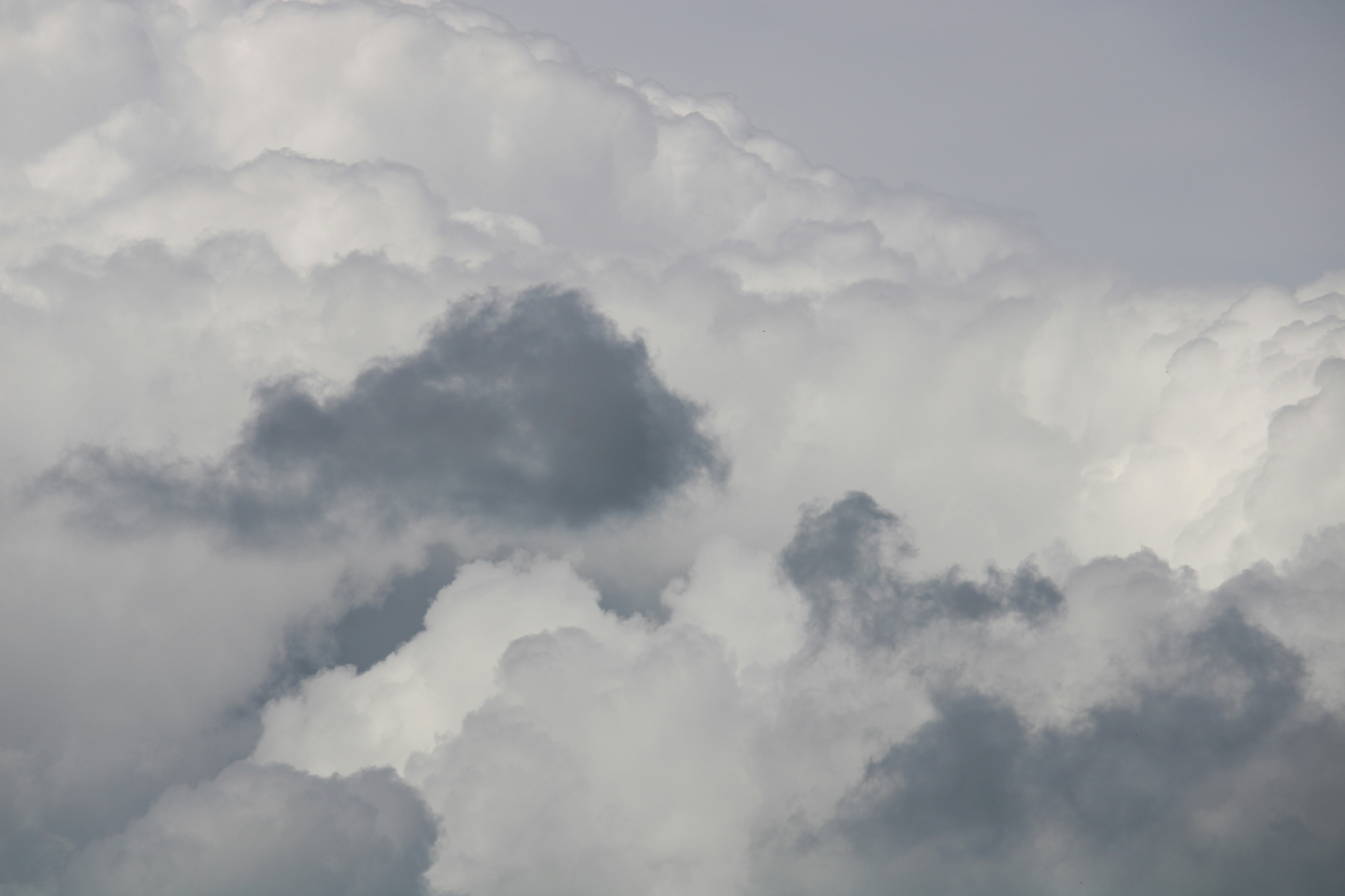 Photo by every_small_step_