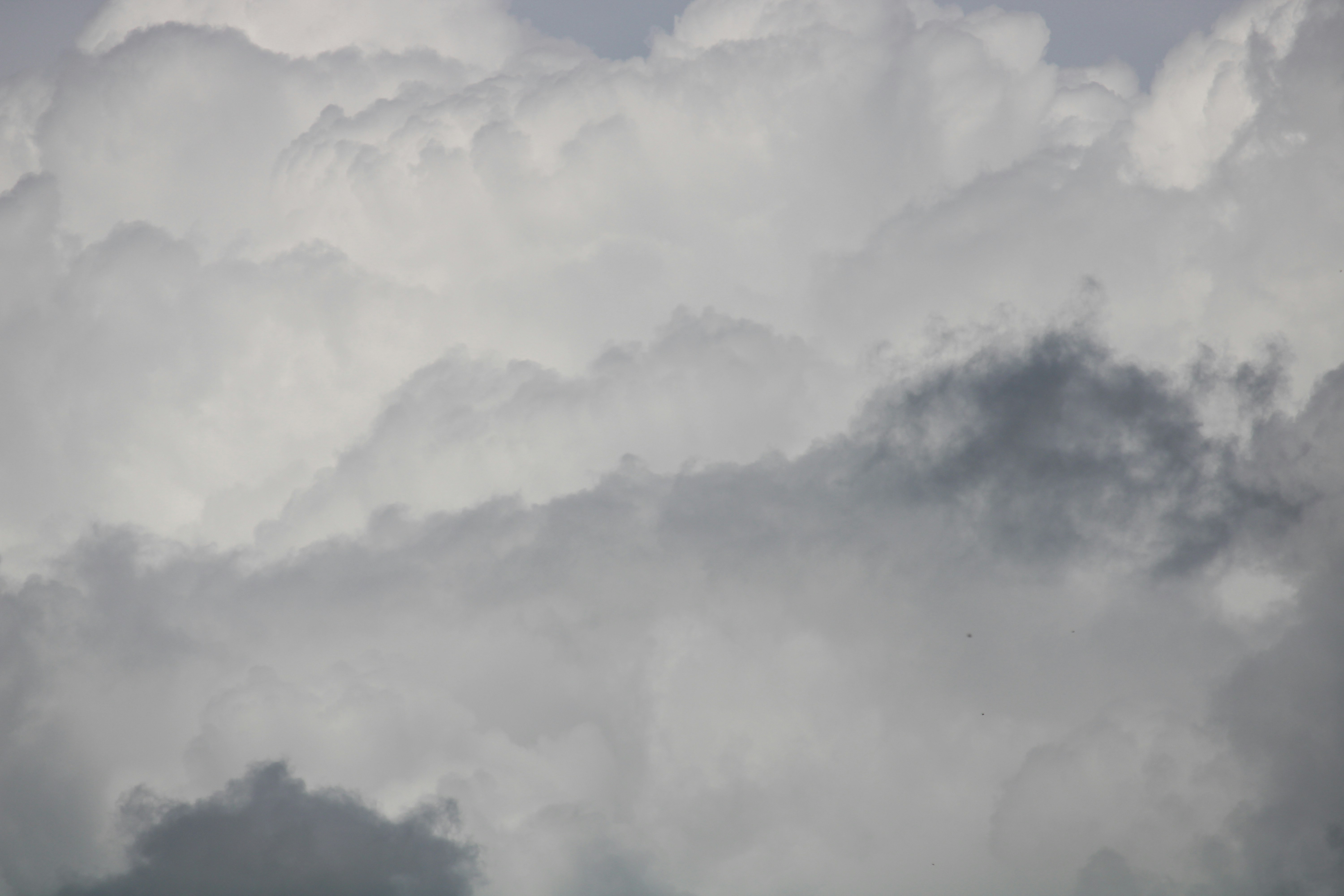 Photo by every_small_step_