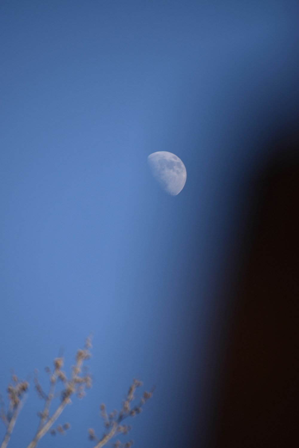 Luna llena en cielo azul