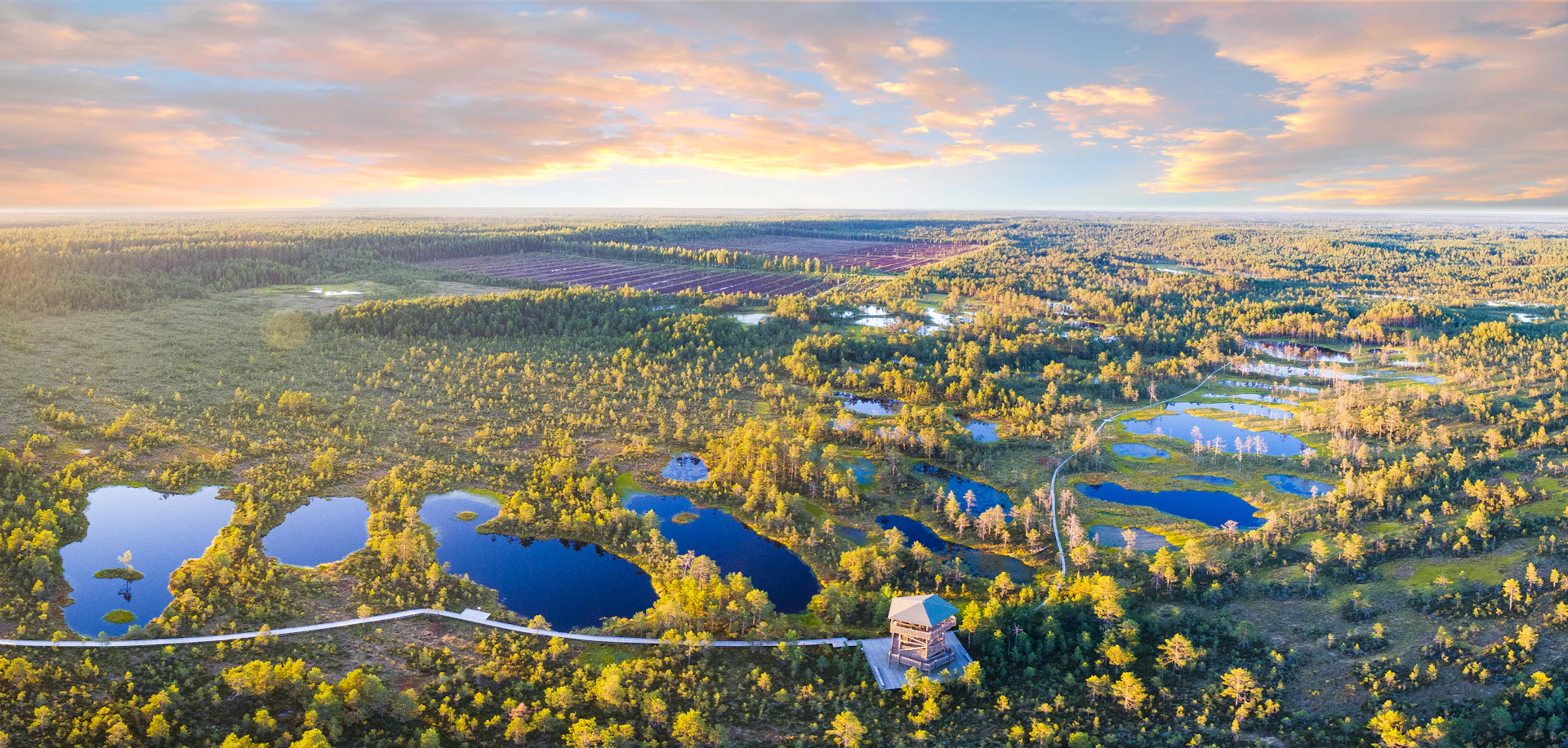 aerial view of city during daytime
