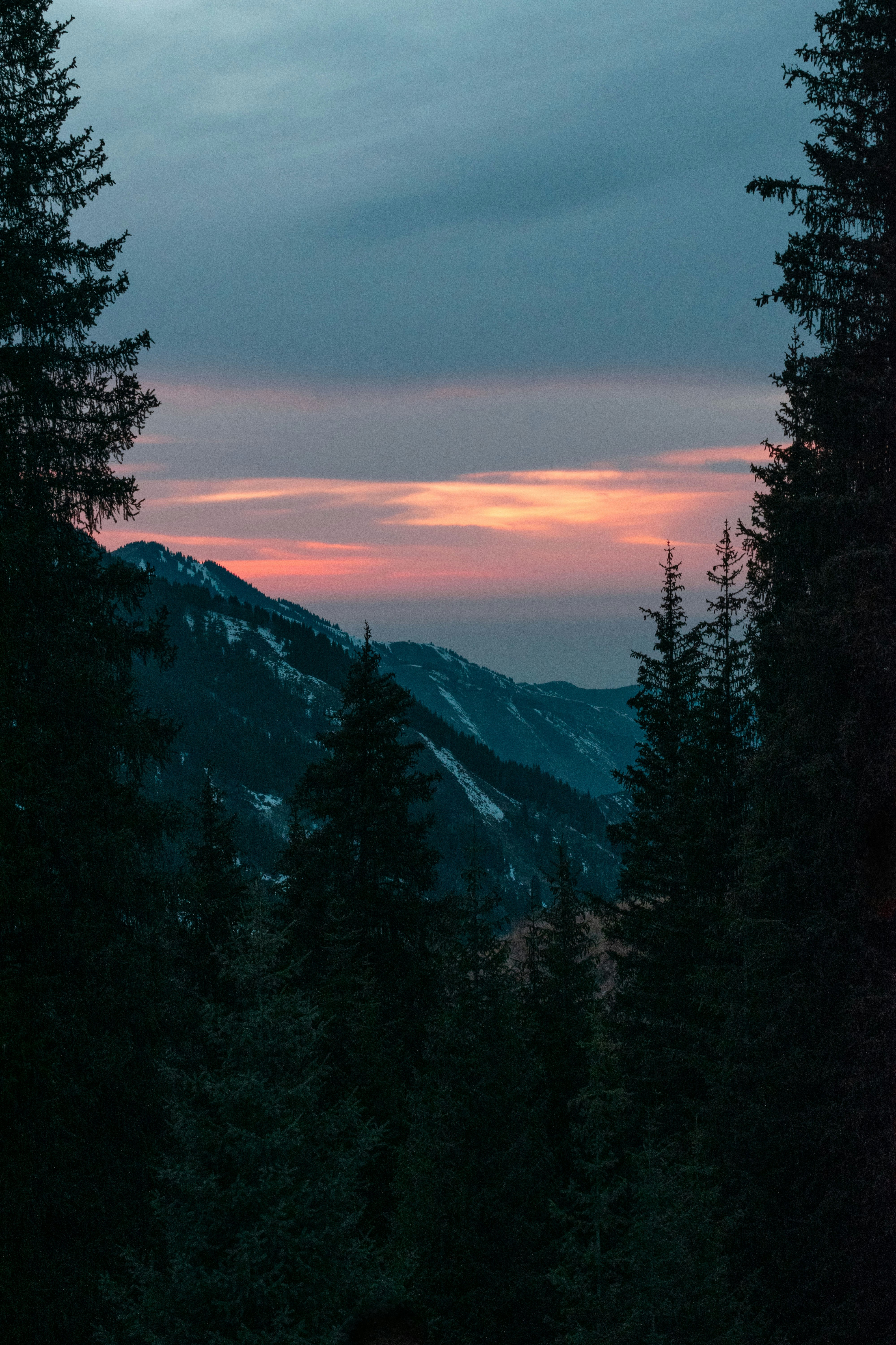 Photo by heellincorp