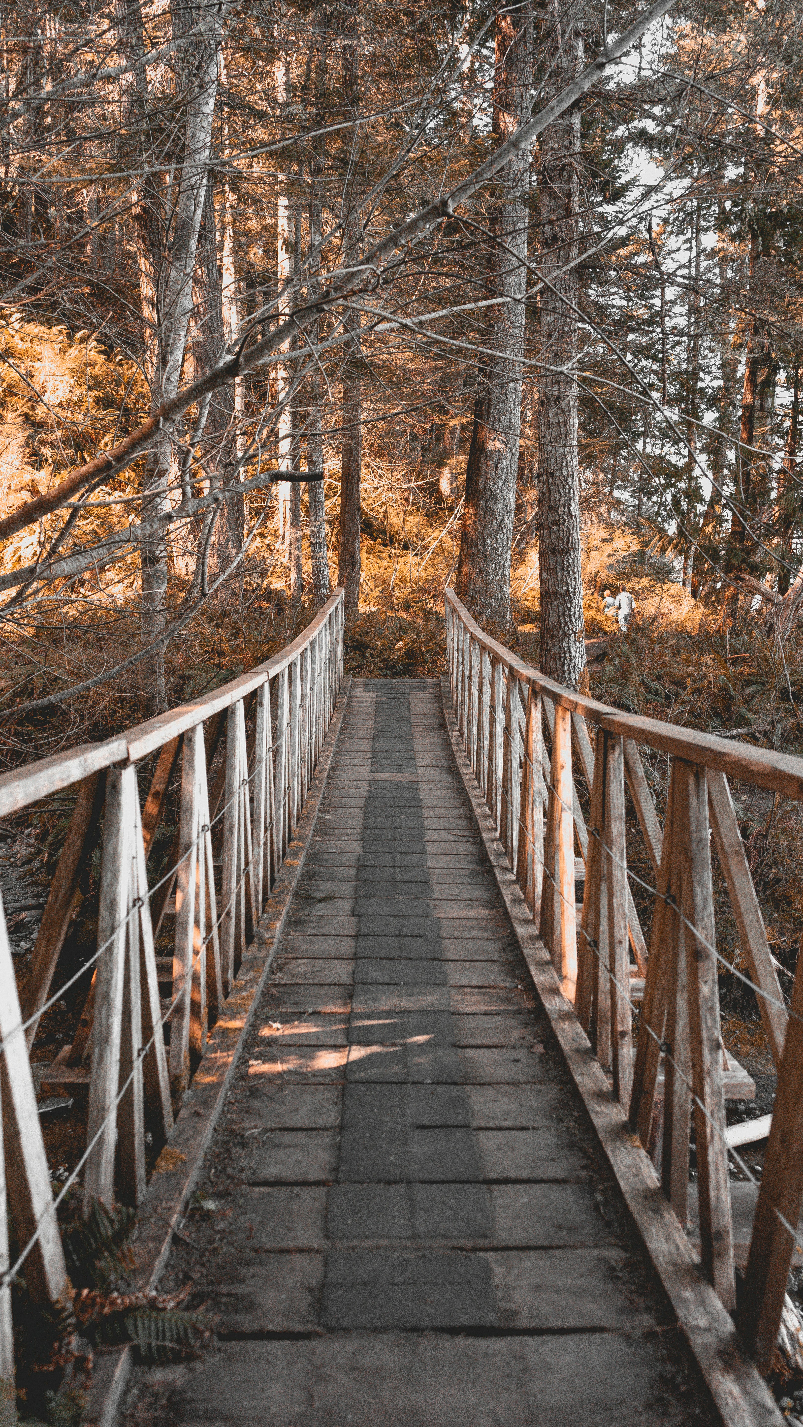 Photo by colefreeman