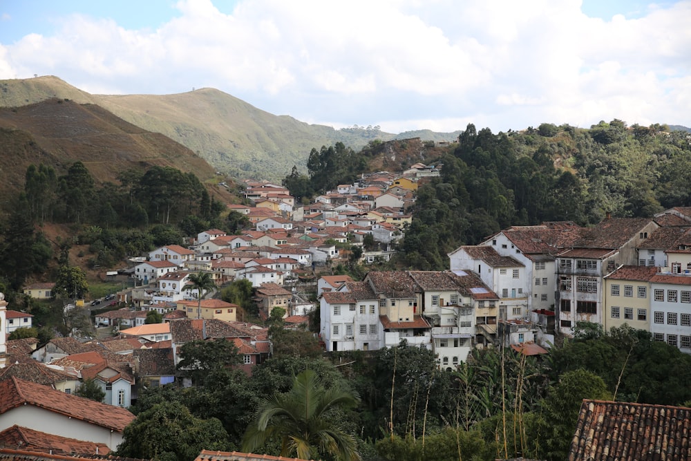 white and brown concrete houses near green trees and mountain during daytime