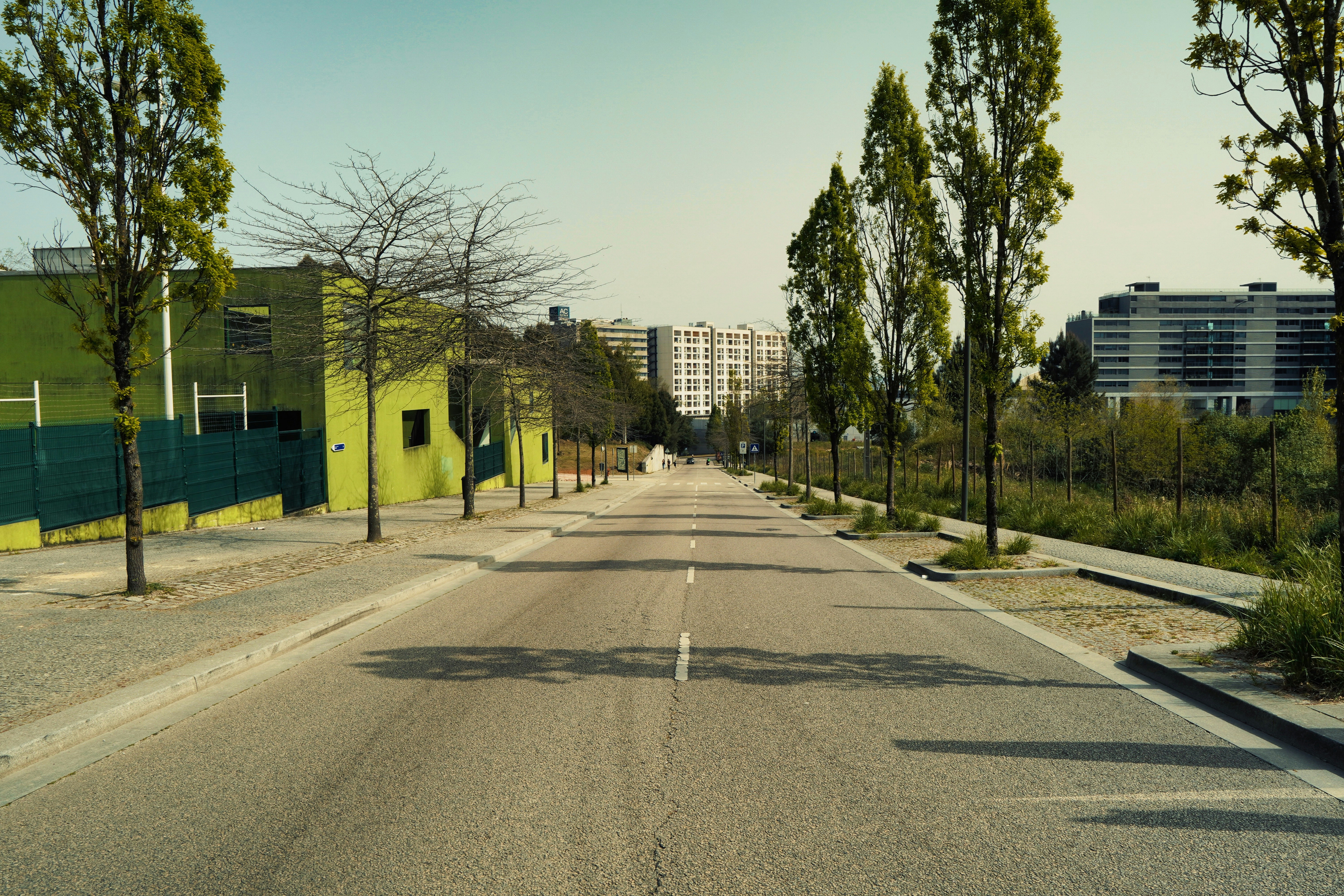 Photo by marcio_azevedo