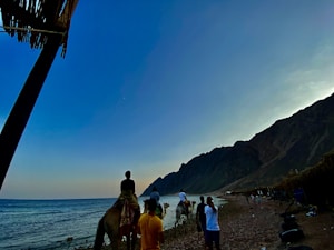 Silhouetted figures on camels walk along a rocky beach beside a calm sea. The sky transitions from deep blue to subtle orange near the horizon, suggesting dusk or dawn. A series of rugged mountains frame the background. A structure with a thatched roof partially appears at the top left corner.