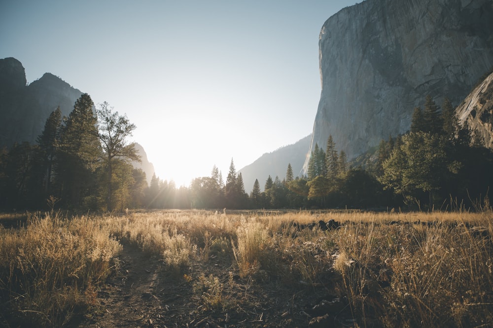 brown grass field near gray rock mountain during daytime