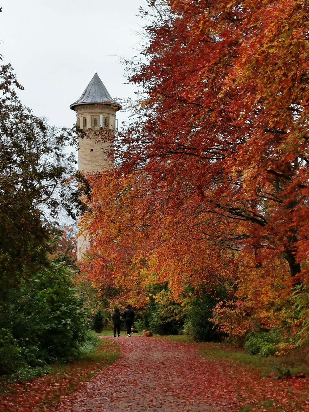 two people are walking down a path in the fall