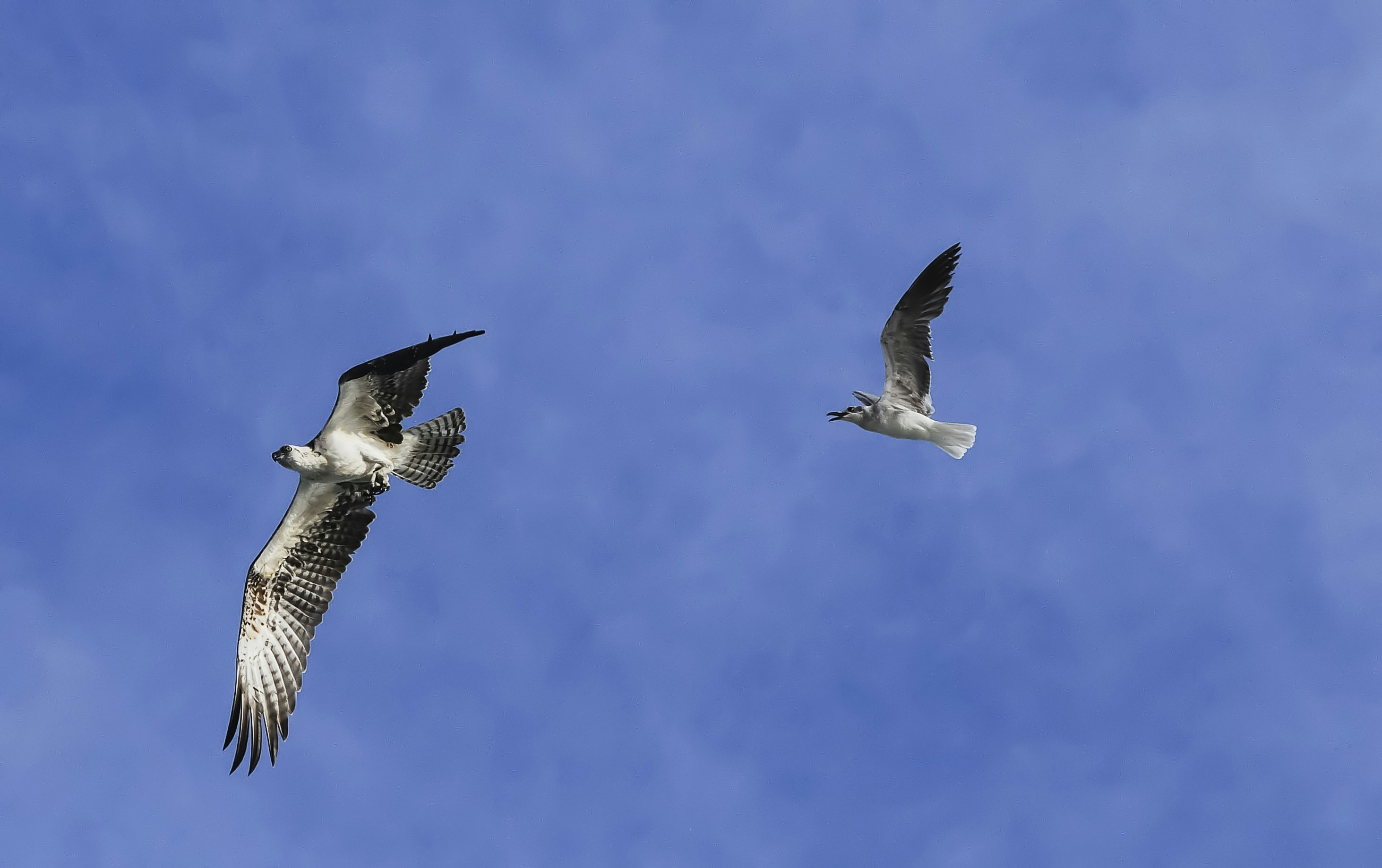 Valparaíso – Accommodation & Where to Stay