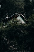 white wooden house surrounded by green trees