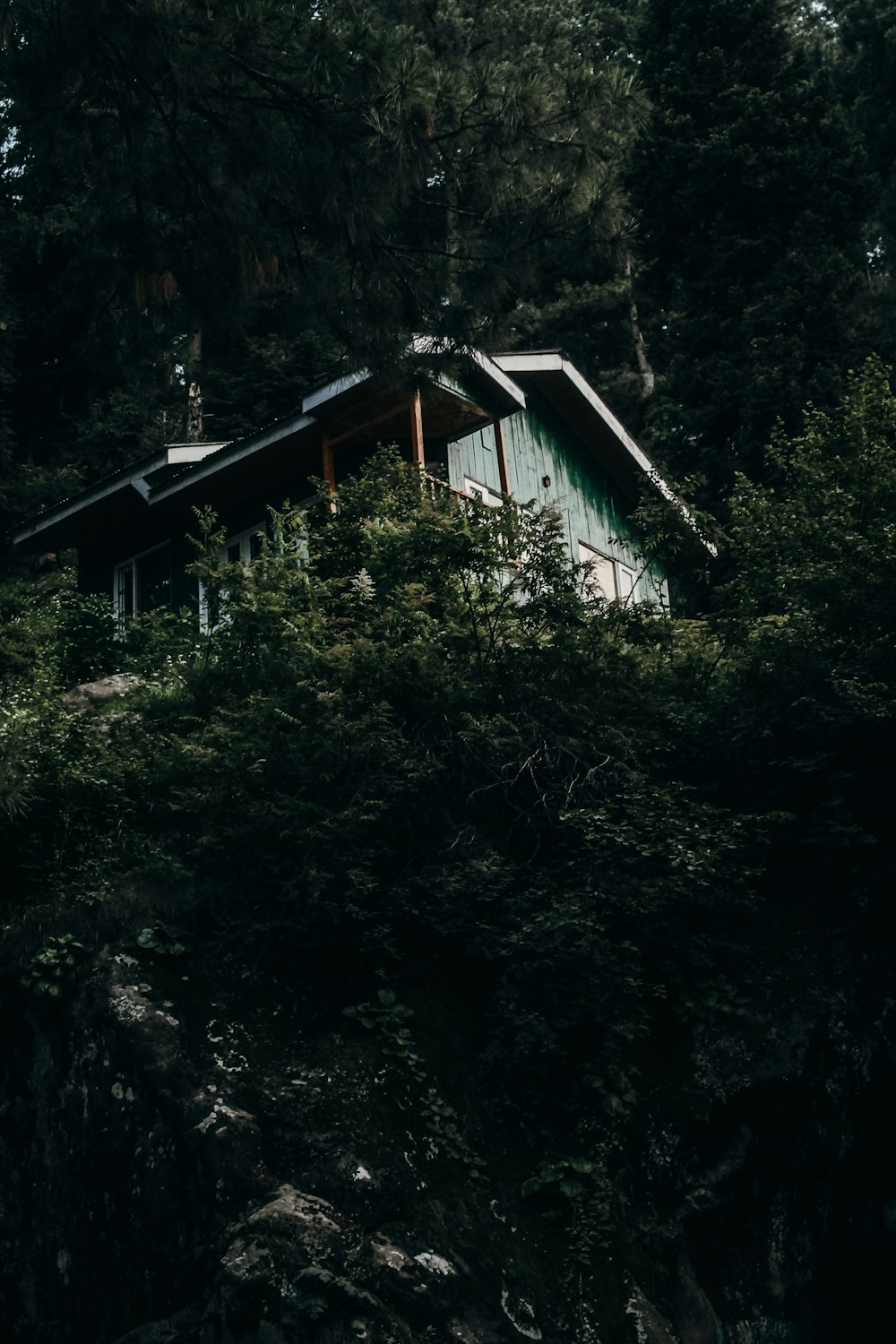 white wooden house surrounded by green trees