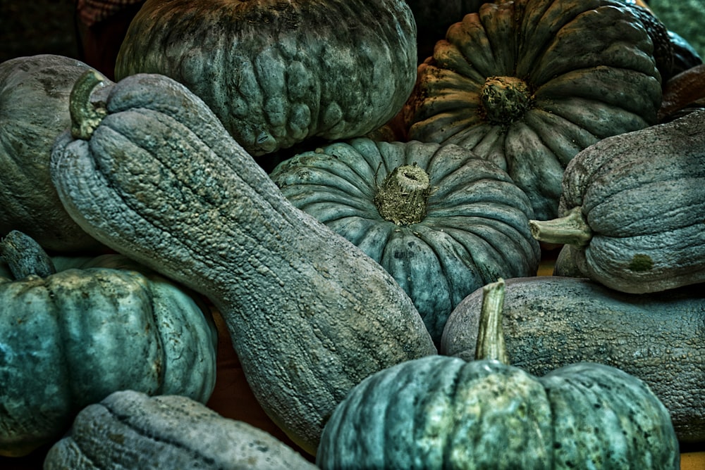 green and white squash vegetable