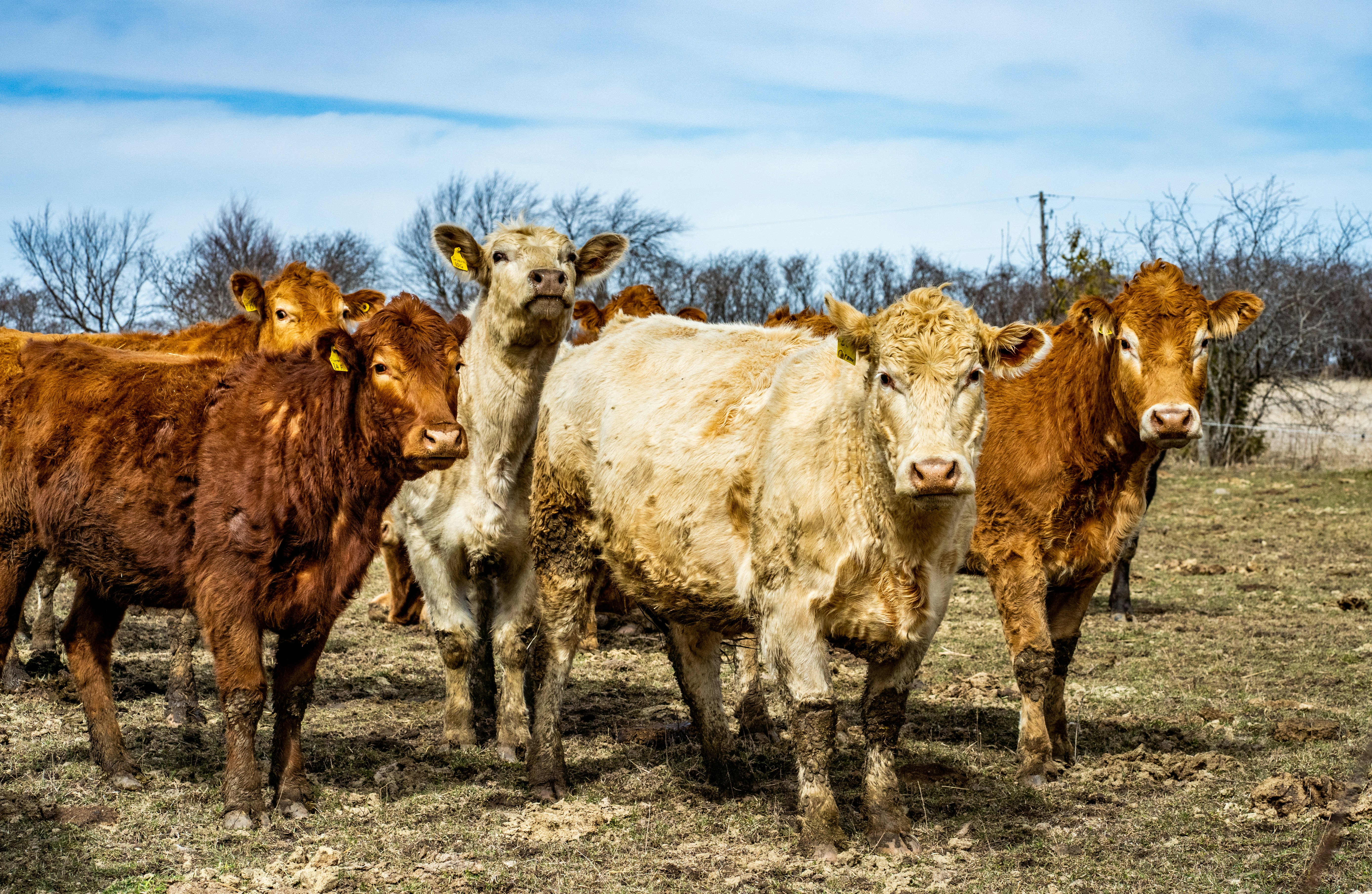 Photo by chris_robert