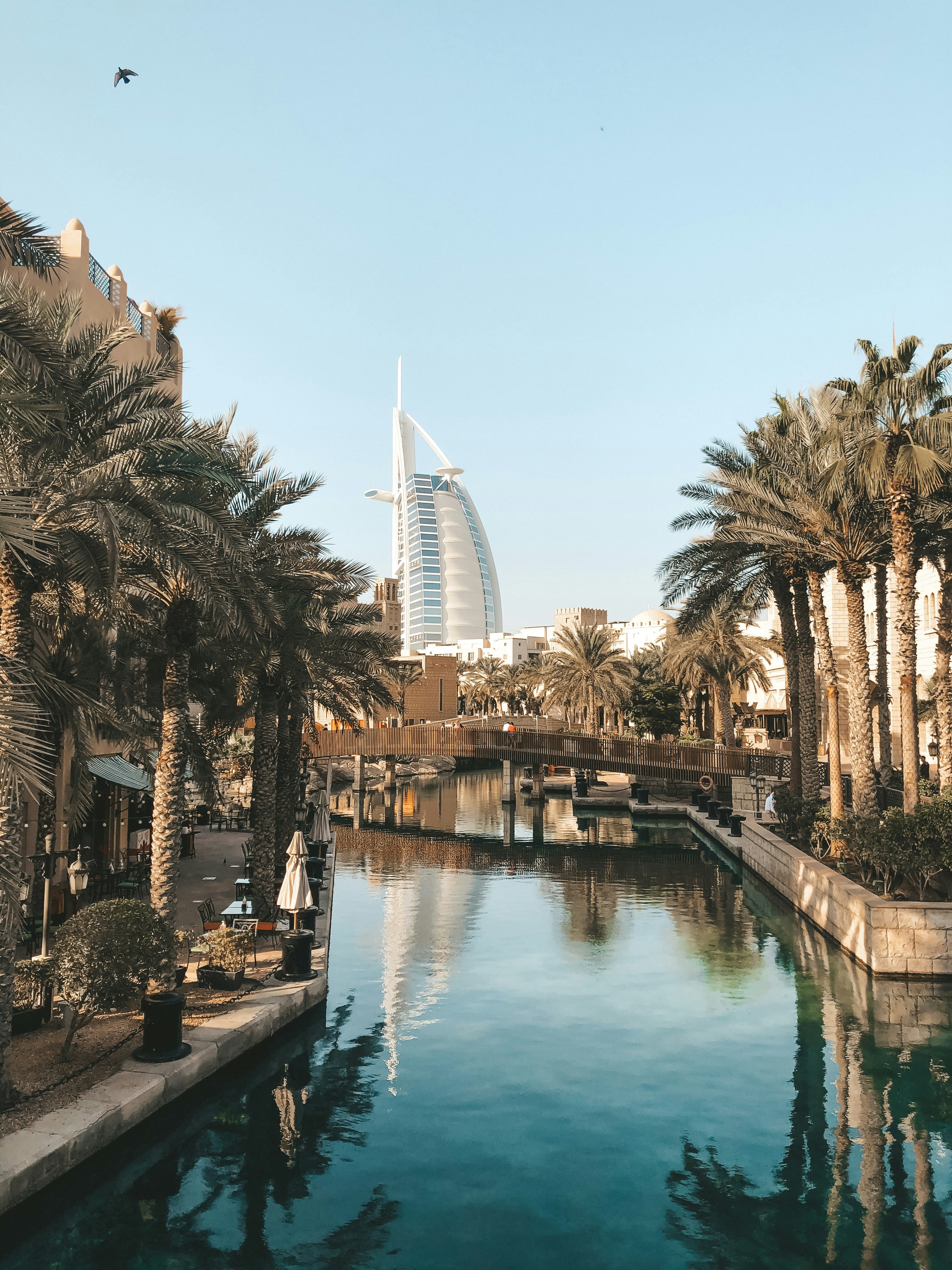 Explore Dubai's iconic landmarks and world-class shopping
